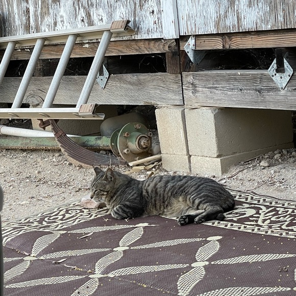 Meet your Posher, Melanie - Picture 4 of 4